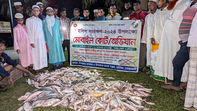 নিষেধাজ্ঞা অমান্য করায় ১১ জেলে আটক, এতিমখানায় গেল ১০ মণ ইলিশ