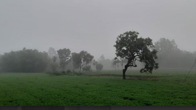 উত্তরে বাড়ছে শীতের তীব্রতা, তাপমাত্রা নামল ১৫.৬ ডিগ্রিতে